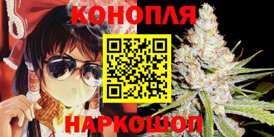 сатива Канаш