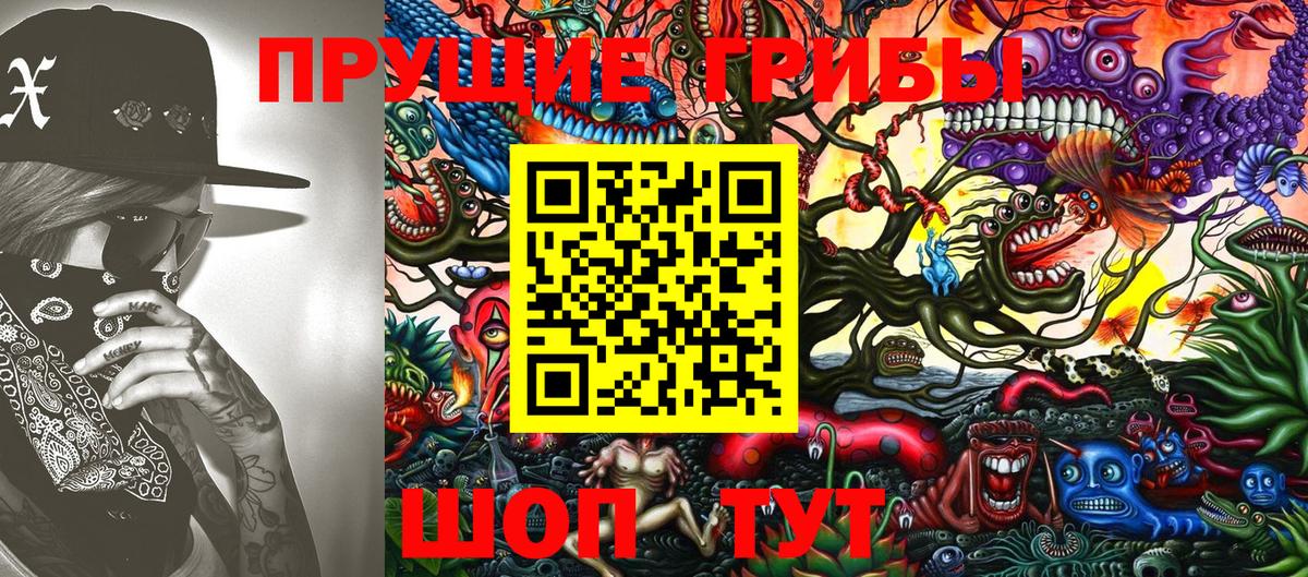 Галлюциногенные грибы Cubensis Кропоткин
