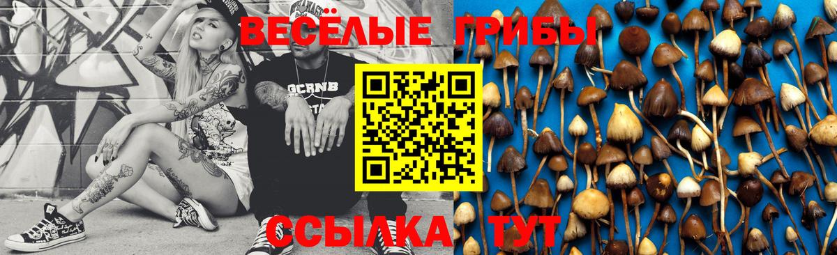 Псилоцибиновые грибы прущие грибы  где найти наркотики  Кропоткин  Вход с VPN 